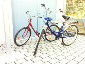 Cykling vid eller i närheten av Ferienwohnungen Haus Sauer