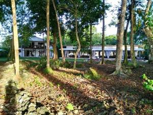 Zahrada ubytování Cahuita Inn