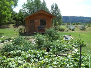 a small cabin in the middle of a garden at The Wandering Star Inn in Glendale