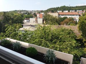 セクサールドにあるMálnás Macska Apartmanの植物のあるバルコニーの景色を望めます。