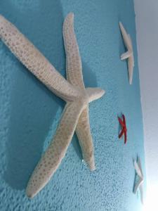 Φωτογραφία από το άλμπουμ του Bed & Breakfast Gli Alisei σε Siniscola