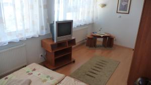 TV a/nebo společenská místnost v ubytování Hotel Štadión