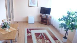 TV a/nebo společenská místnost v ubytování Hotel Štadión