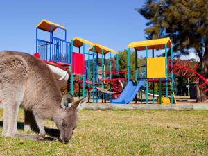 a large gray and white zebra standing on top of a green field at NRMA Murramarang Beachfront Holiday Resort in Durras