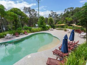 a large swimming pool with chairs and umbrellas at NRMA Myall Shores Holiday Park in Bulahdelah