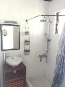 La salle de bains est pourvue d'un lavabo, d'un miroir et d'une douche. dans l'établissement Les Porcelaines, à La Saline les Bains