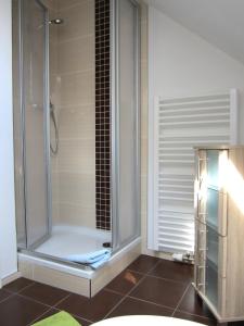 een douche met een glazen deur in de badkamer bij Ferienwohnungen "AM HELLGREVENHOF" in Eisenach