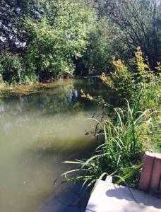 Blick auf einen Fluss in der Nähe des Ferienhauses