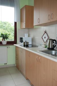 a kitchen with wooden cabinets and a sink and a window at Apartment AMUR in Kraków