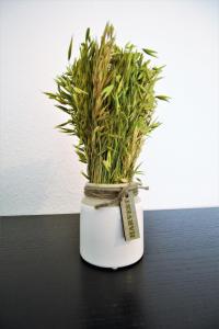 a white vase with some grass in it at Working & Longstay Apartments DD in Düsseldorf