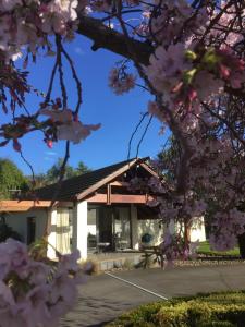 Κήπος έξω από το Olive Hill Guest Lodge +7 φωτογραφίες