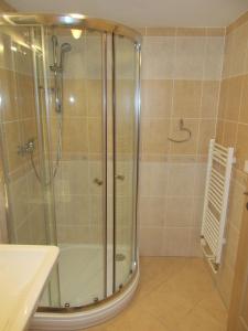 a shower with a glass door in a bathroom at Apartmán Pohoda Nová Pec in Nová Pec