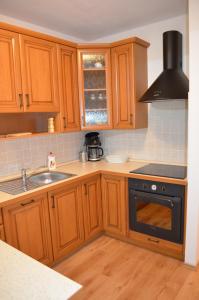 Kuchyň nebo kuchyňský kout v ubytování Apartmán Pohoda Nová Pec
