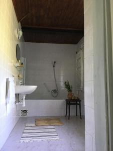 a bathroom with a sink and a shower at Igmándy kúria in Nagybajom