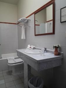 a bathroom with a toilet, sink, and mirror at Hotel La Posada Regia in León