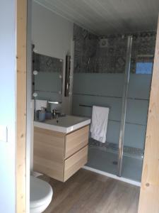 a bathroom with a shower and a sink and a toilet at Le chalet du Lac in Doussard