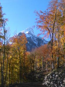 Paesaggio naturale nelle vicinanze dell'appartamento