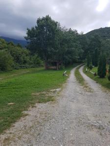 Gallery image of Cabana Poenita in Lissa