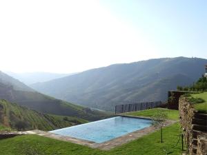 Ervedosa do DouroQuinta da Gricha的可以看到山景的游泳池