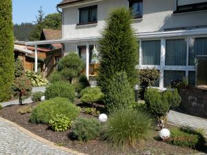 a garden in front of a house with trees and bushes at Ferienwohnungen Haus Waltraud in Steinwiesen