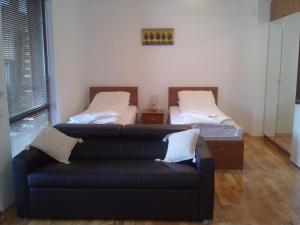 班斯科Mountain View Resort Studio的带沙发和两张床的客厅 更多14张照片