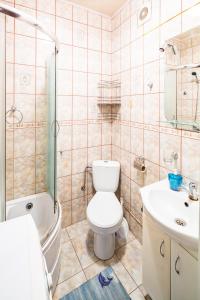 リヴィウにある7 Brothers Rogatintsev Apartamentのバスルーム(トイレ、洗面台、シャワー付)