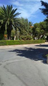 リド・マリーニにあるCasa Al Mareの公園内のヤシの木が生い茂る空き道