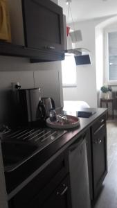 Kuchyň nebo kuchyňský kout v ubytování Guesthouse Le Vauban