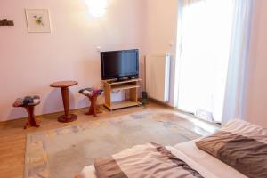 a living room with a tv and a couch at Country House Slemenšek in Vojnik