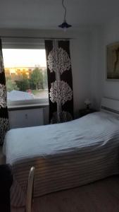 コウォブジェクにあるApartament Kołobrzegのベッドルーム1室(木の木が並ぶ窓付)