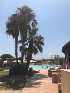 two palm trees next to a swimming pool at Villino Aurora in Villaputzu