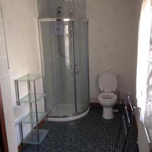a bathroom with a shower with a toilet and a sink at Teasy's cottage in Armagh +9 photos