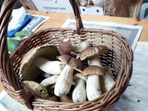 Gallery image of Albergo Al Pino in Enego +55 photos