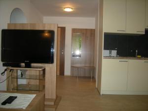 uma sala de estar com uma televisão de ecrã plano num suporte em Vila Ema Apartments and Rooms em Liubliana