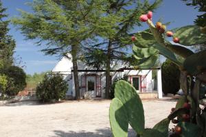 una casa con un cactus di fronte di Trullo Riccardo a Ostuni