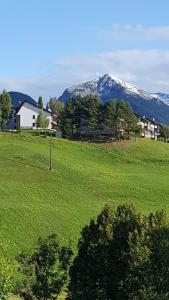 a field of green grass with a mountain in the background at Un "gioiello" di fronte alle Dolomiti in Carano