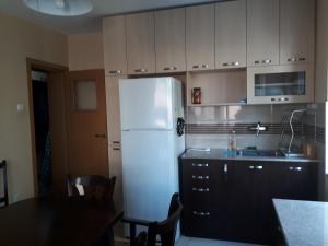 Virtuvė arba virtuvėlė apgyvendinimo įstaigoje Apartment ILIEVI