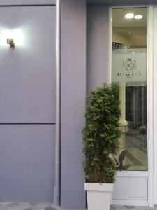 Fotografija v galeriji nastanitve Atina Lux Hostel v Leskovcu