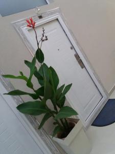Fotografija v galeriji nastanitve Atina Lux Hostel v Leskovcu