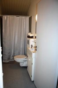 y baño con aseo, lavabo y ducha. en Kaldbakur Guesthouse, en Heimaland