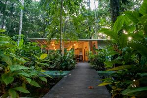 Gallery image of Jaguar Inn Bungalows in Puerto Viejo