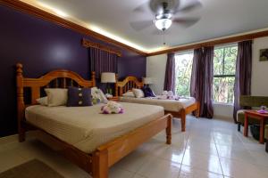 two beds in a bedroom with purple walls and windows at Bocawina Rainforest Resort in Hopkins