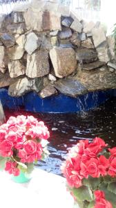 a bunch of flowers in vases next to a rock wall at Viverdi Hotel in Arujá