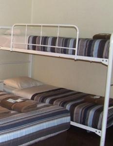 two bunk beds in a room withthritisthritisthritisthritisthritisthritisthritisthritisthritis at Aquarius Motel in Belmont