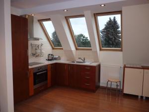 ザモシチにあるApartament Kropla Mlekaのキッチン(シンク付)、窓2つが備わります。
