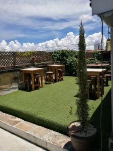 a garden with picnic tables and a potted tree at Casa Jocotenango in Guatemala