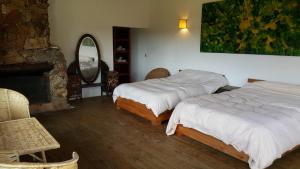Легло или легла в стая в La Tahona