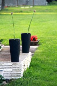 dwie czarne wazy z kwiatami na polu w obiekcie Agroturystyka Nienasycenie w mieście Brzeźno Łyńskie