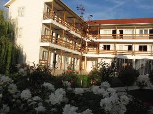 Budova, kde se hostel nachází + 14 fotografií