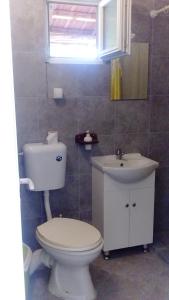 a bathroom with a white toilet and a sink at Twins V.V.T Hostel in Orešani